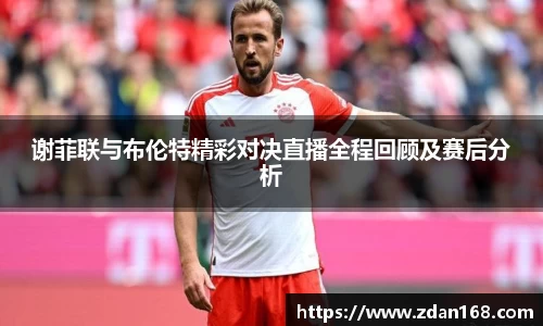 NG体育官网