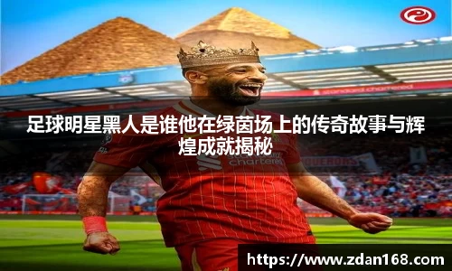 NG体育官网