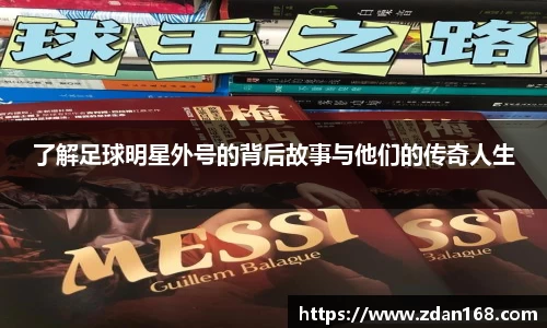 NG体育